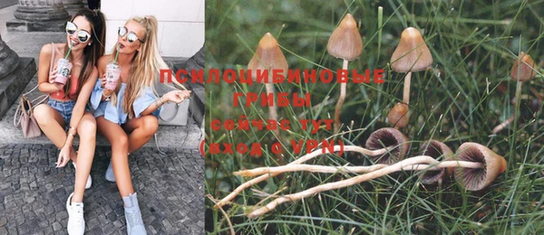 амф Елизово