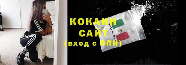 прущие грибы Дмитровск
