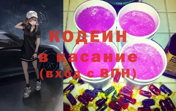 прущие грибы Дмитровск