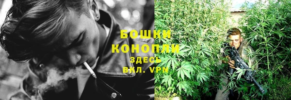 амф Елизово
