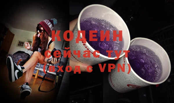амф Елизово